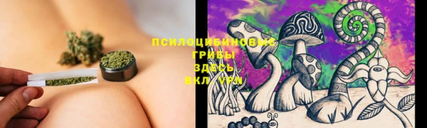 герыч Богородск