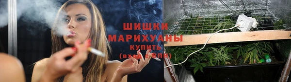 МДПВ Богданович