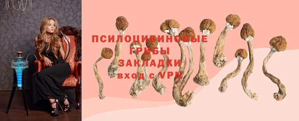 МДПВ Богданович