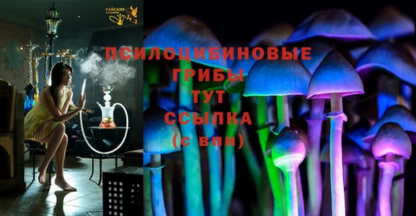 МДПВ Богданович
