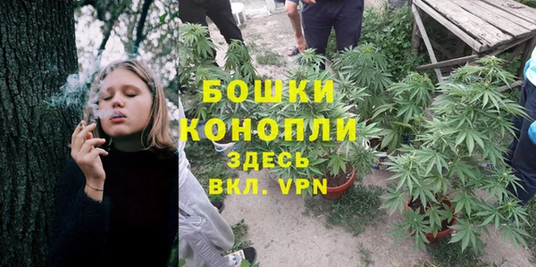 МДПВ Богданович